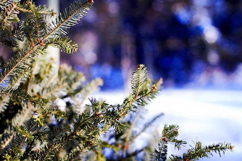 3199548898_394e14a38b_o