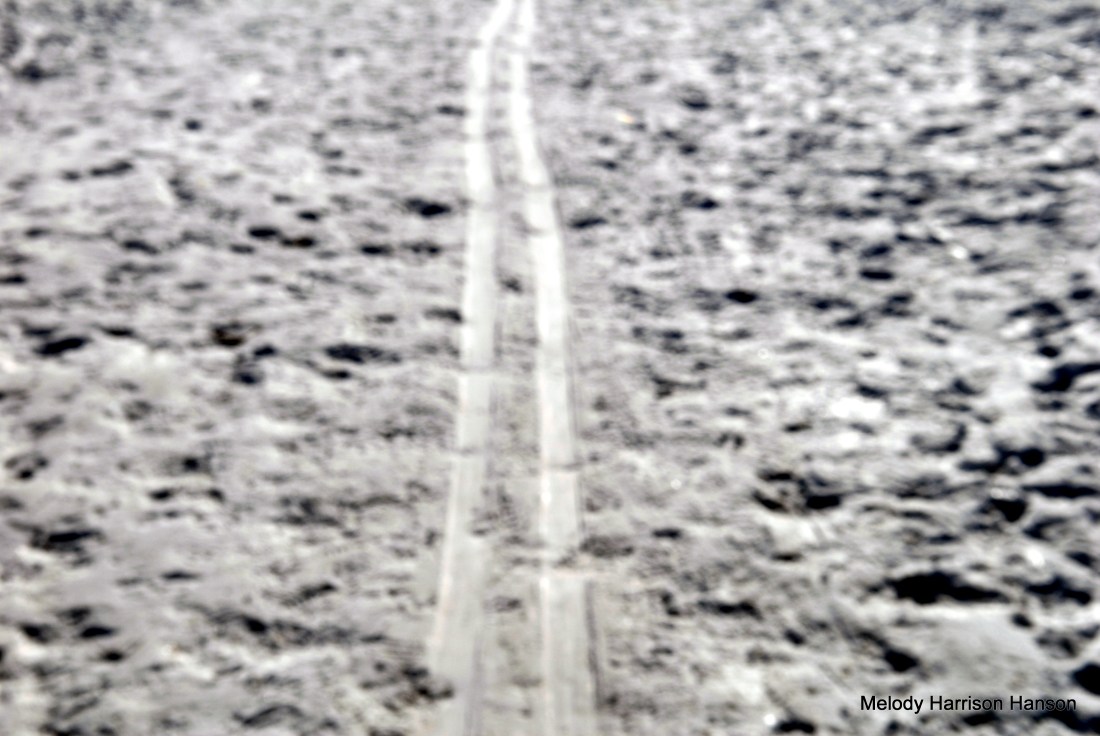 12-arboretum 2013 013