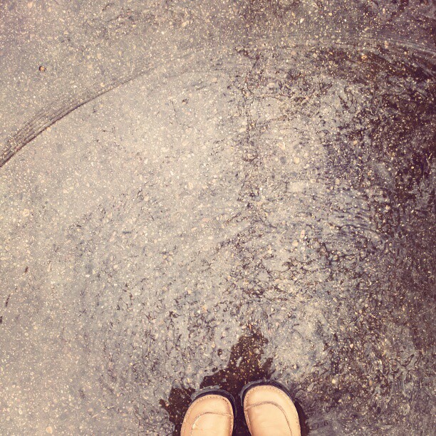 8427584102_f1a33c7ae3_o