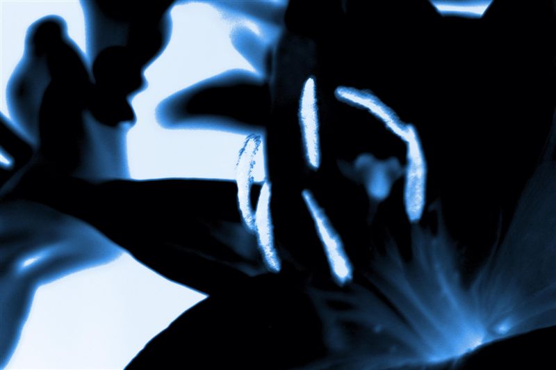 341002969_e38a765c90_o