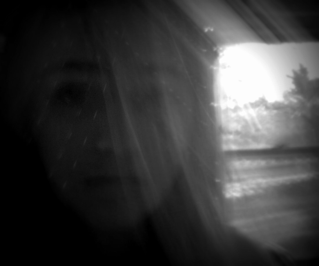 1-arboretum 2013 001